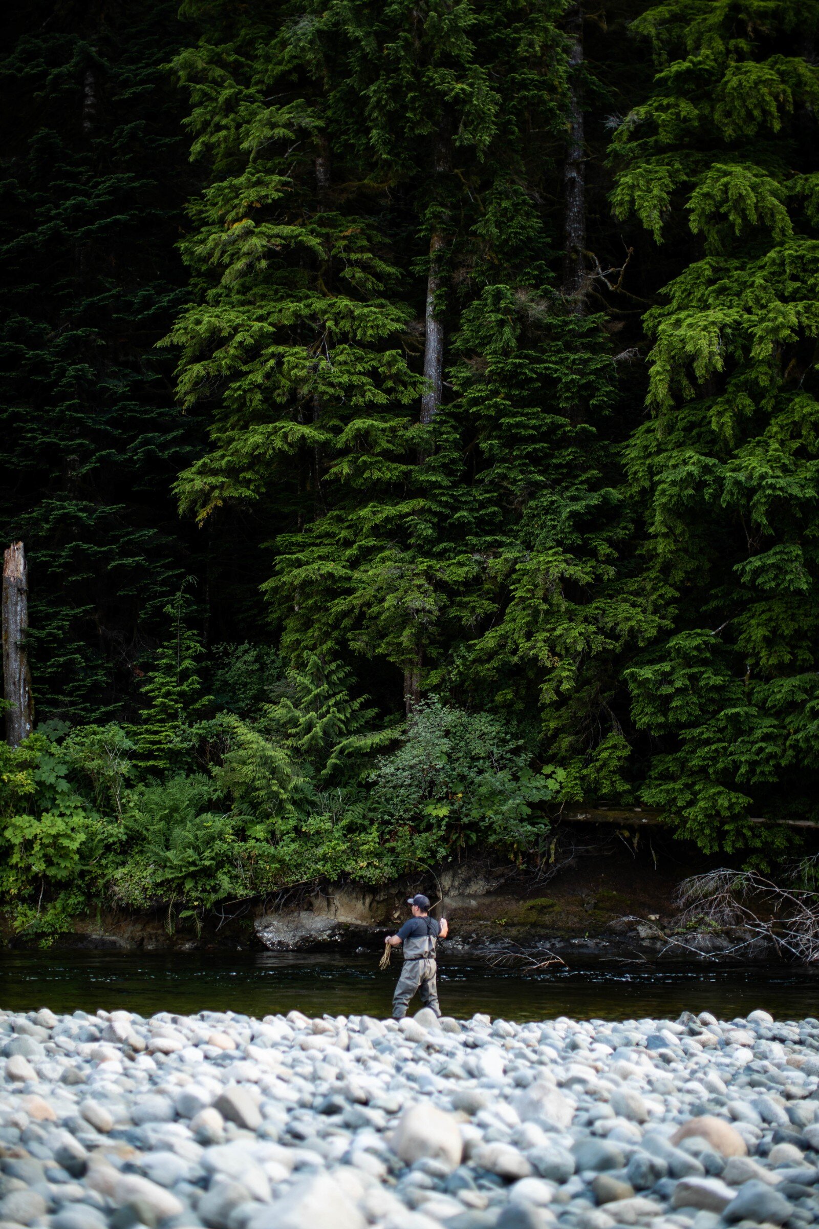Person fly fishing in the distance along a rocky river bank with forest in the background